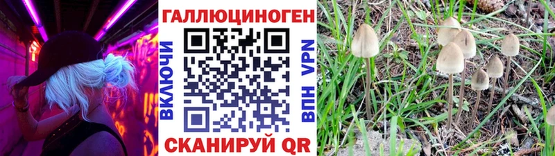 Псилоцибиновые грибы прущие грибы  Купить где  Калтан 