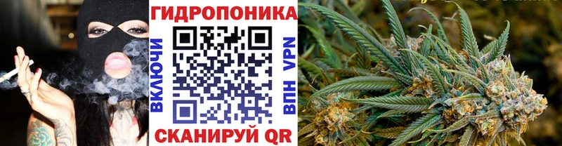 Бошки Шишки марихуана  Купить закладки  Калтан 